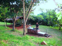The Campsite