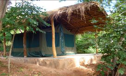 Bedded Tent